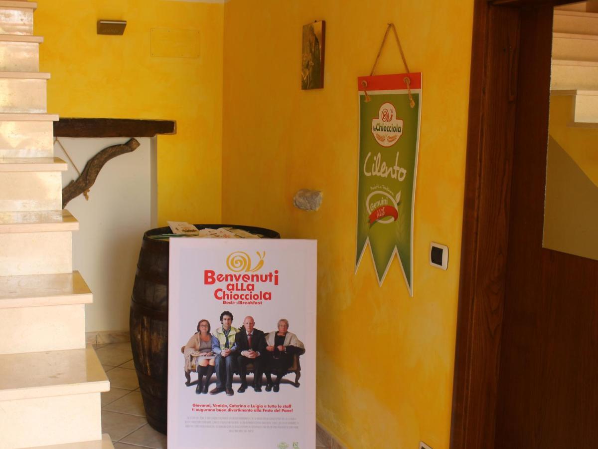La Chiocciola Bed & Breakfast Trentinara Ngoại thất bức ảnh